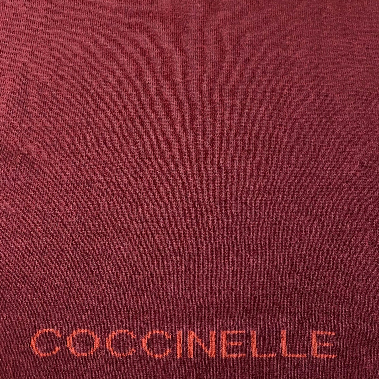 Шарф Coccinelle E7 GY1 31 02 01 683