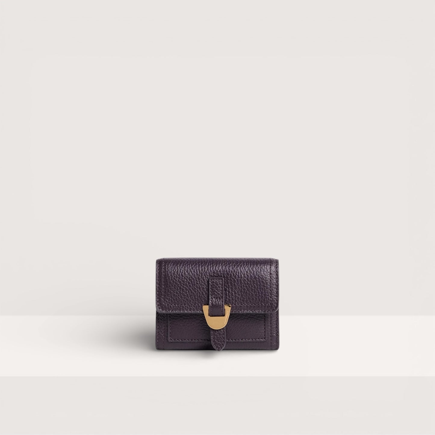 Гаманець Coccinelle E2 RFF 11 F0 01 V87