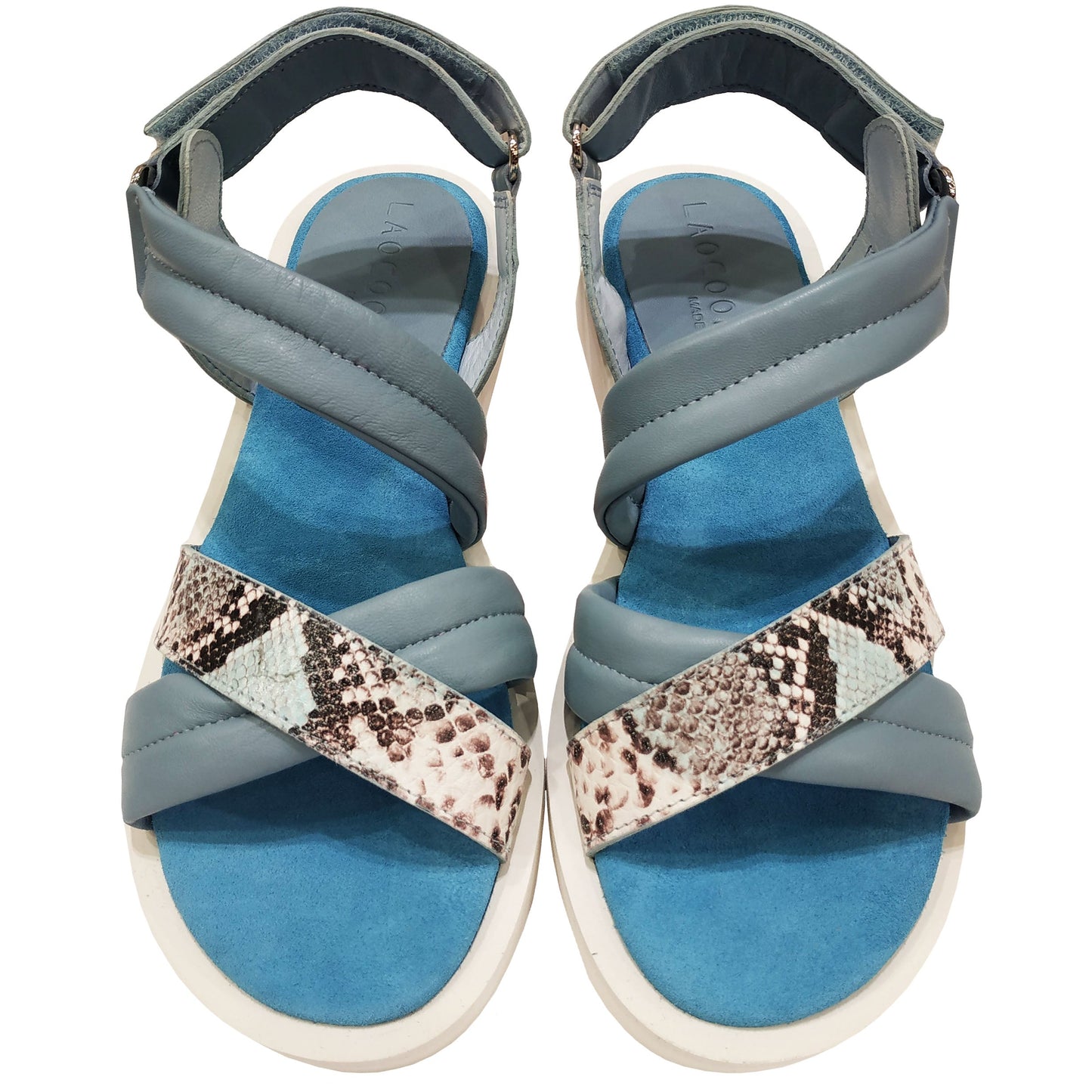 Взуття Laocoonte Paula (5) Viper aqua – sofia blusky